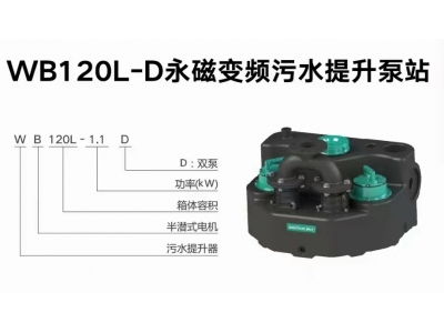 WB120L-D永磁變頻污水提升泵站